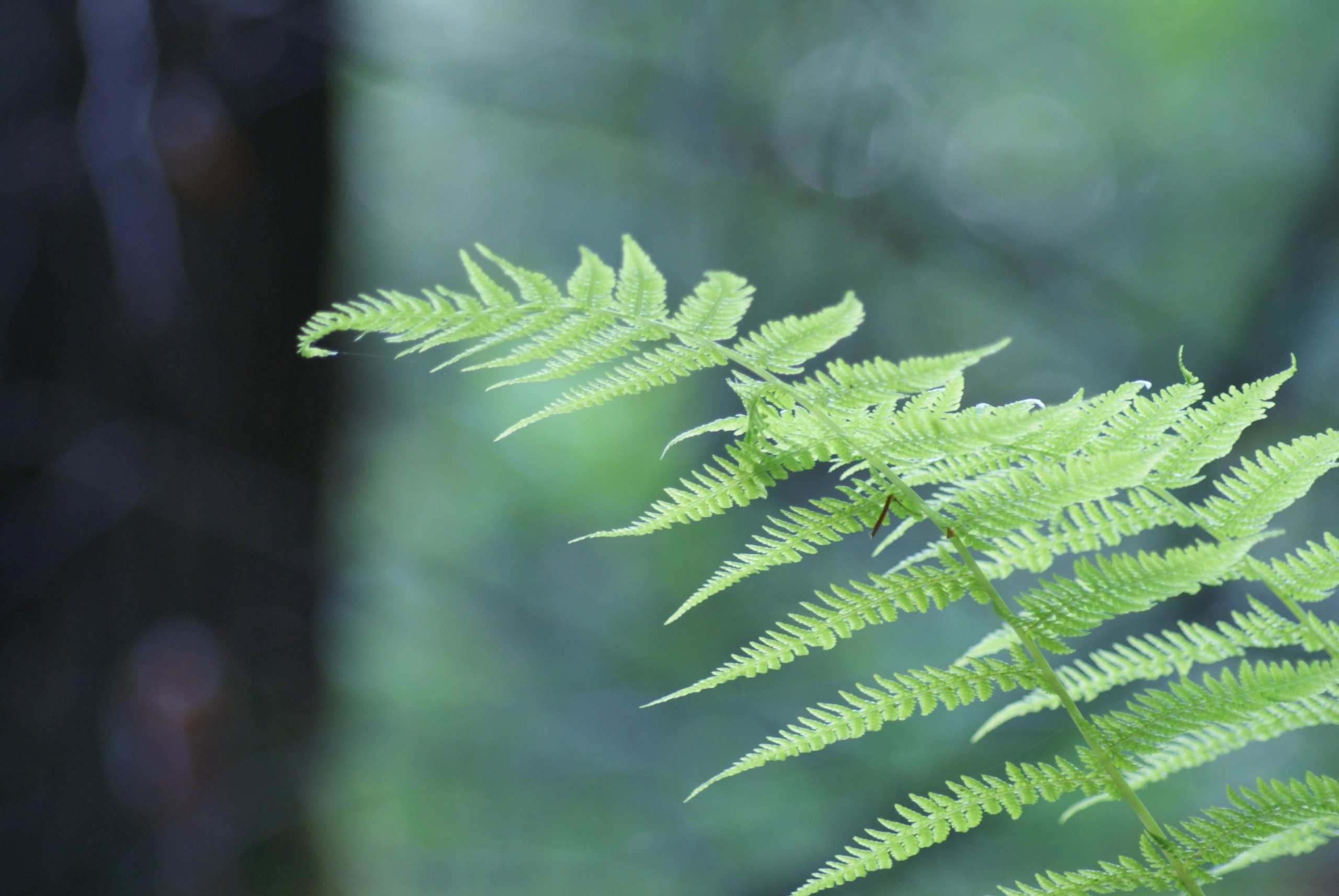 …Encourage creativity and rest…